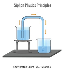  A siphon is a tube in an inverted U shape which enables a liquid, under the pull of gravity, to flow upwards and then downwards to discharge at a lower level. Siphon principle.