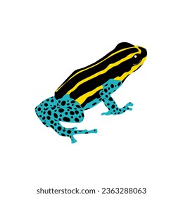 Sira poison dart frog, Ranitomeya sirensis high quality vector design transparent background