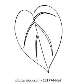 sirih piper betle plantae leaf in simple vector single or continuous line art
