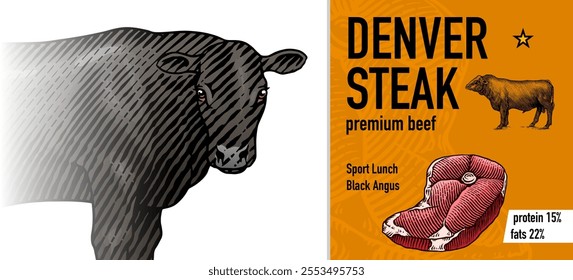 Sirloin steak banner in Vintage style. Hand drawn Cow poster. Farm cattle bulls. Slice of meat tenderloin. Engraved hand drawn Line art. Monochrome sketch.