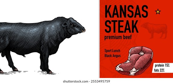 Sirloin steak banner in Vintage style. Hand drawn Cow poster. Farm cattle bulls. Slice of meat tenderloin. Engraved hand drawn Line art. Monochrome sketch.