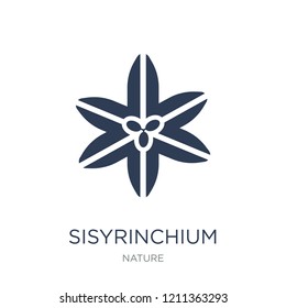 Sisyrinchium icon. Trendy flat vector Sisyrinchium icon on white background from nature collection, vector illustration can be use for web and mobile, eps10