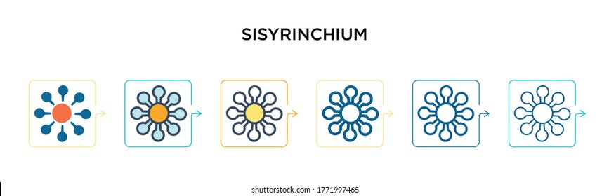 Sisyrinchium vector icon in 6 different modern styles. Black, two colored sisyrinchium icons designed in filled, outline, line and stroke style. Vector illustration can be used for web, mobile, ui