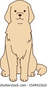 sit golden retriever vector illust