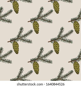 Sitka spruce branch seamless pattern. Hand drawn botanical vector illustration