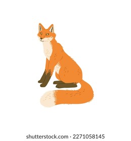Sitting adorable ginger fox cartoon character, flat hand drawn vector illustration isolated on white background. Wild forest fox animal with bushy tail.