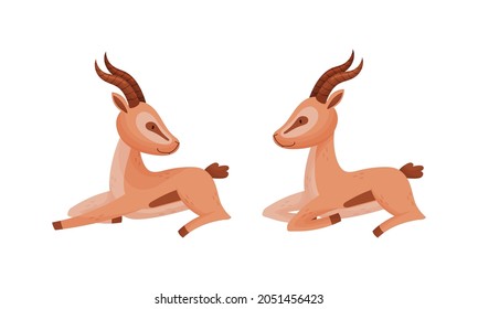 Sitting African Gazelle as Fawn-colored Antelope Species with Curved Horn Vector Set