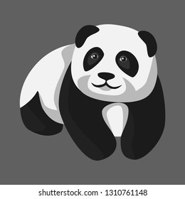Sitting baby panda on gray background. Vector drawing of the animal in cartoon style.