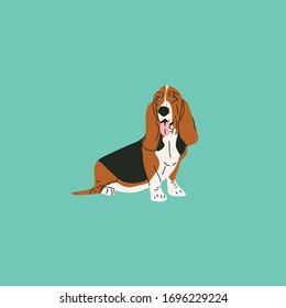 Sitting Basset Hound Dog from Side View Vector Illustration in Greenish Blue Background