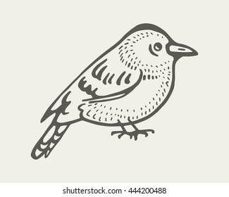 sitting bird