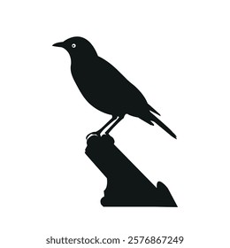 Sitting bird forward stock image photo vector art silhouette template background 