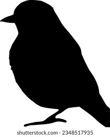 sitting bird silhouette. isolated vector silhouette.