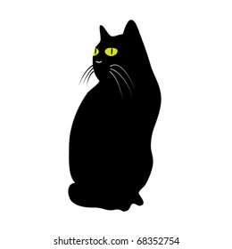 Sitting black cat looking into the distance