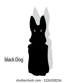 Sitting black dog with big ears