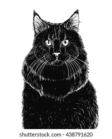 sitting blak cat