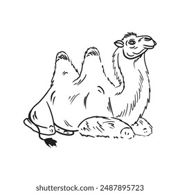 Sitting camel with traditional tissue seat for riding in black isolated on white background. Hand drawn vector sketch illustration in doodle engraved vintage line art style. Egypt desert, travel.