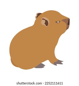 Sitting Capybara Vector Design in White Background.