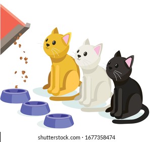 sitting cartoon feeding food three cats oringe white and black cat on white background