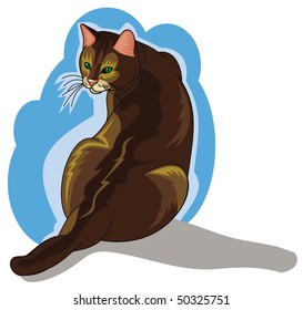 Sitting cat