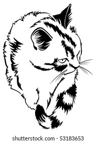 Sitting cat