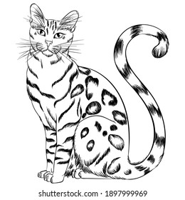 Featured image of post Bengal Cat Realistic Cat Coloring Pages : Check out this guide to bengal cat colors and patterns.