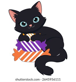 Sitting cat with bright eyes cute cat pose.