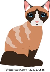 Sitting cat icon. Siamese breed. Domestic animal