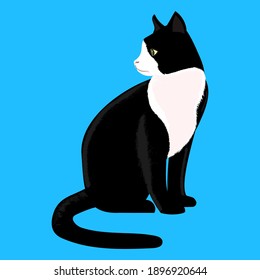 Sitting Cat isolate on blue background, Domesticate animal or pets - Flat Vector Illustration