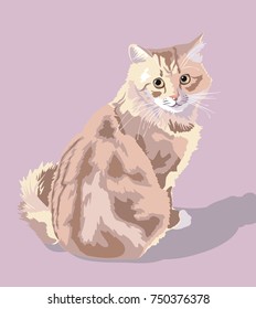 Sitting cat. Realistic vector image.