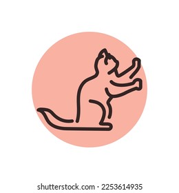 Sitting cat sharpens its claws color line icon. Pictogram for web page, mobile app, promo.