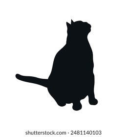 Sitting cat silhouette isolated on white background. Cat looks up. Feline shadow. Vector illustration