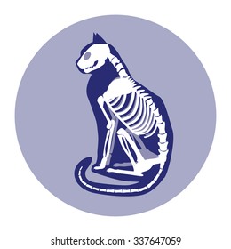 Sitting cat skeleton vector illustration.