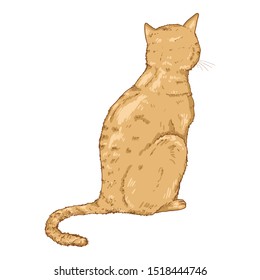 Sitting Cat. Vector Cartoon Feline Illustration. Back View