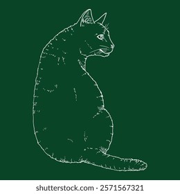 Sitting Cat. Vector Chalk Sketch Feline Illustration