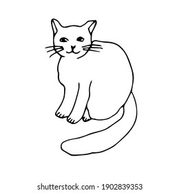 Sitting Cat Drawing 图片 库存照片和矢量图 Shutterstock