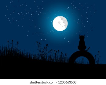 sitting cat watching the moonlight