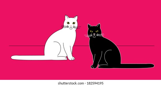 Sitting cats