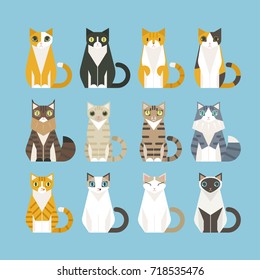 Sitting cats of various patterns vector illustration flat design