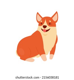 Sitting corgi with tongue out. Welsh domestic puppy dog, funny family friend vector illustration