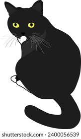 Sitting cute cat character vector illustration