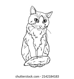 Sitting cute cat. Coloring. Black and white vector illustration.