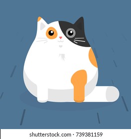 Sitting cute vector cats. White cat, Black cat, Orange cat. Brown cat.