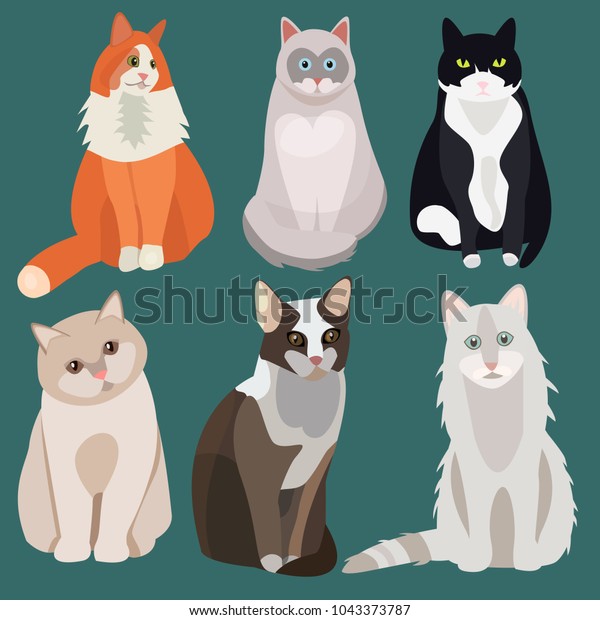 Descubra Sentados Lindos Gatos Vectoriales Gato Blanco Imagenes De Stock En Hd Y Millones De Otras Fotos Ilustraciones Y Vectores En Stock Libres De Regalias En La Coleccion De Shutterstock Se Agregan Miles De Imagenes Nuevas De Alta Calidad Todos