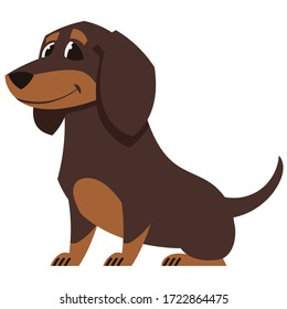 Sitting Dachshund dog. Cute pet in cartoon style.