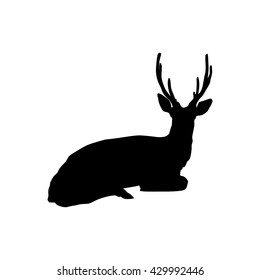 sitting deer silhouette on white background