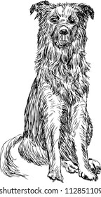 sitting dog