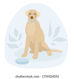Sitting dog. Labrador. Golden retriever. Bowl. Concept style flat cartoon. Vector illustration.