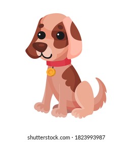 Sitting Dog with Spotted Coat and Collar as Domestic Animal Vector Illustration