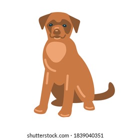 Sitting dog. Vector illustration in flat style. Isolated on white.