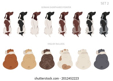 Sitting dogs backside clipart, rear view. Diifferent coat colors variety. Pet graphic design for dog lovers. Vector illustration svg